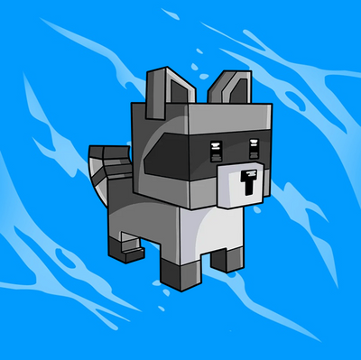 Raccoon