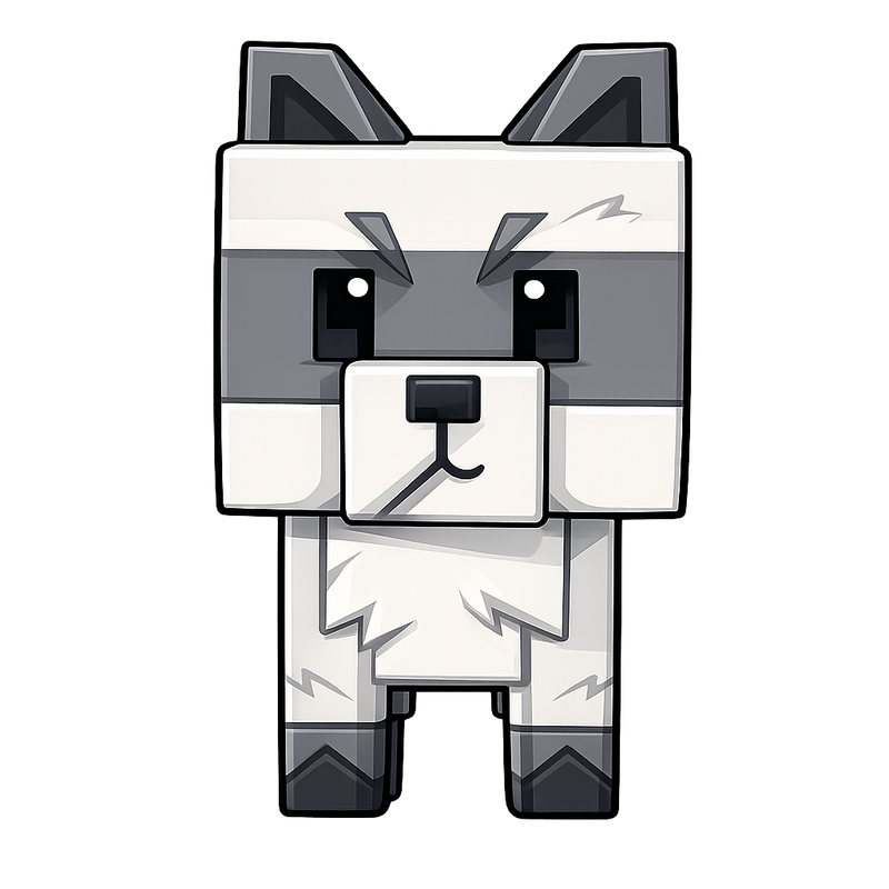 Raccoon