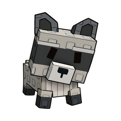 Raccoon