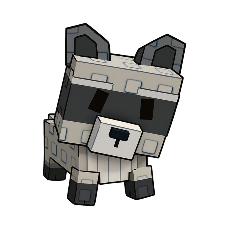 Raccoon