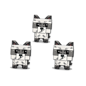 3x Raccoon Bundle
