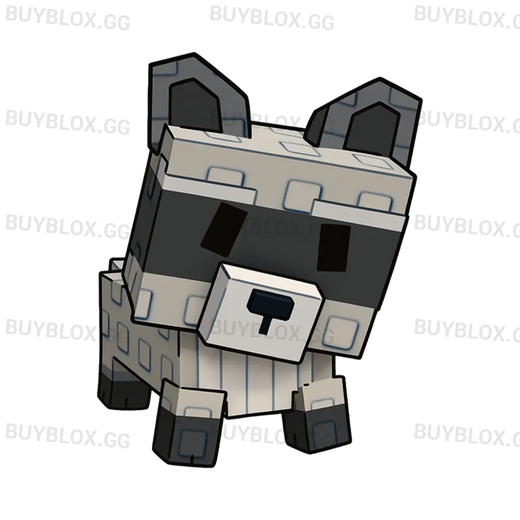 Raccoon - MM2Center