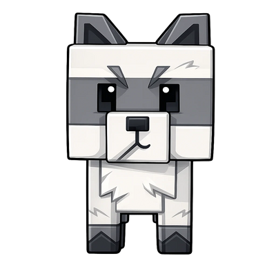 Raccoon