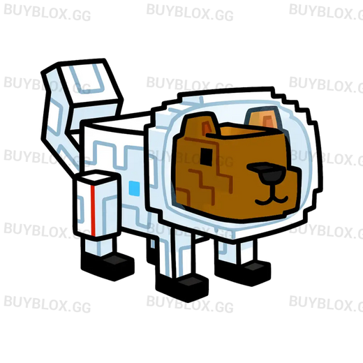 Space Squirrel - MM2Center